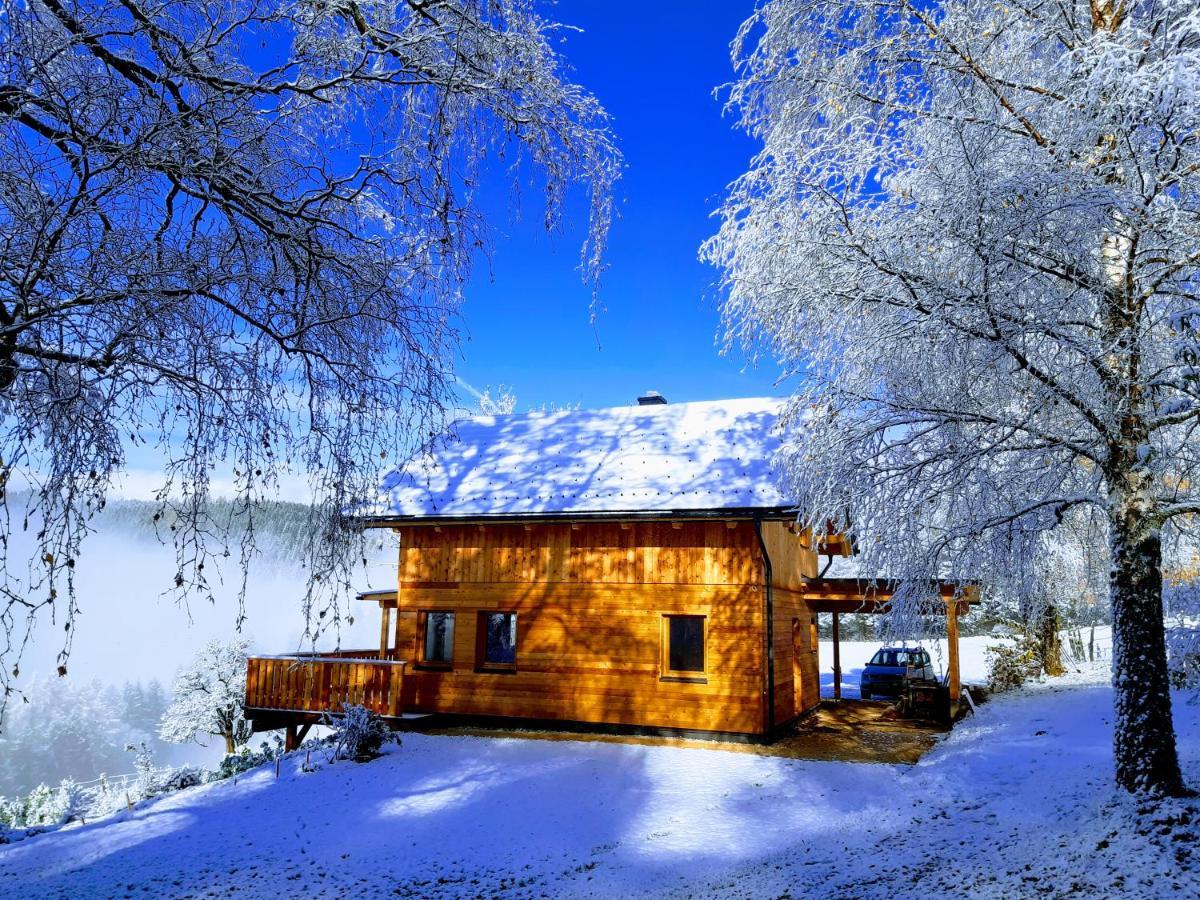 Appartamento Auszeit Almhaus Schmalzbauer Sankt Andrä Esterno foto