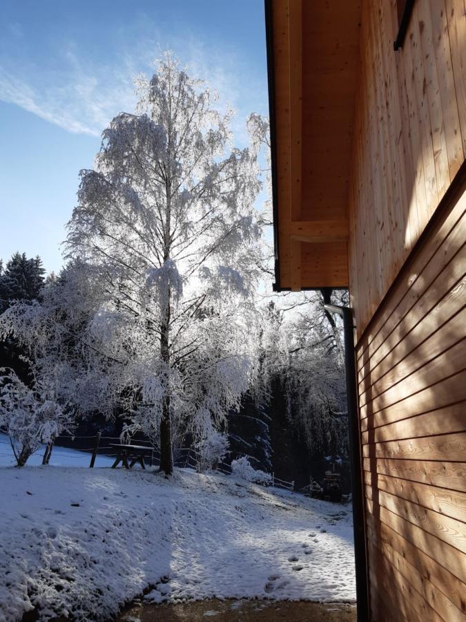 Appartamento Auszeit Almhaus Schmalzbauer Sankt Andrä Esterno foto