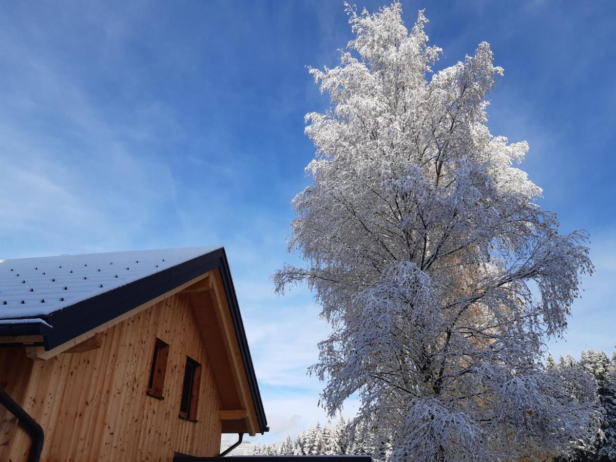 Appartamento Auszeit Almhaus Schmalzbauer Sankt Andrä Esterno foto