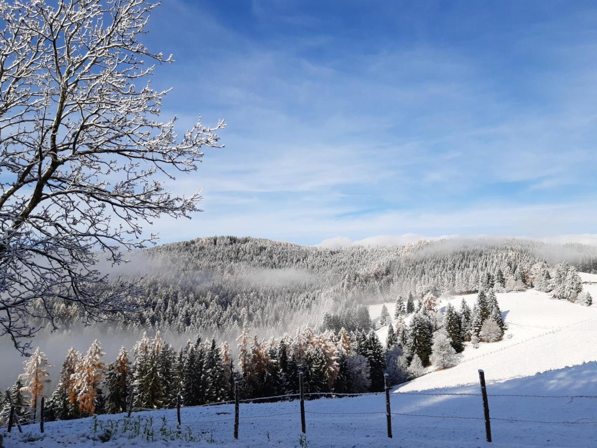 Appartamento Auszeit Almhaus Schmalzbauer Sankt Andrä Esterno foto